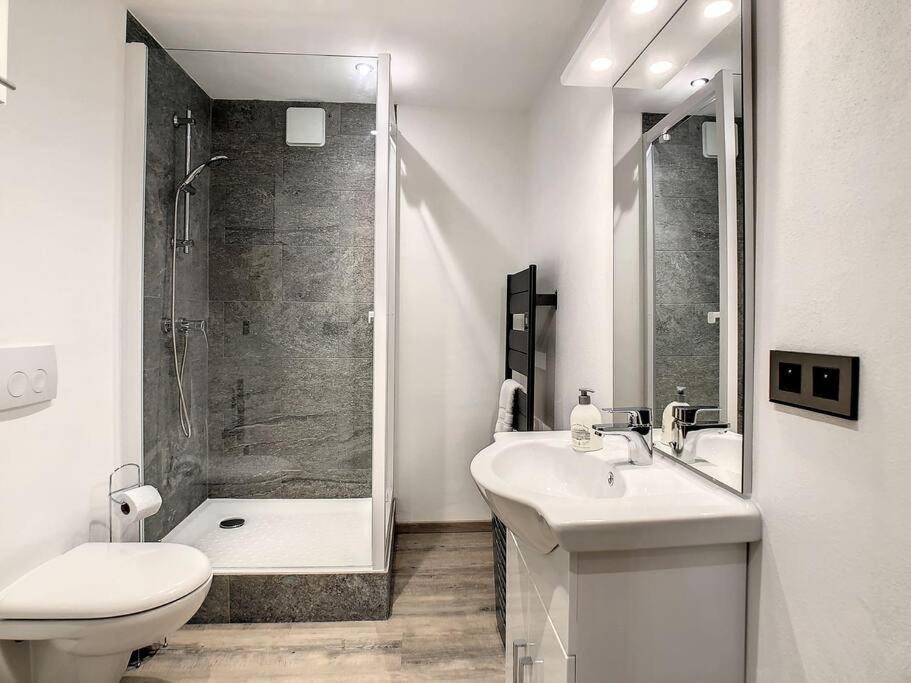 Appartement Mont Alt, F2 40m2 en rdc, calme, Vue Mt Blanc à Passy  Extérieur photo